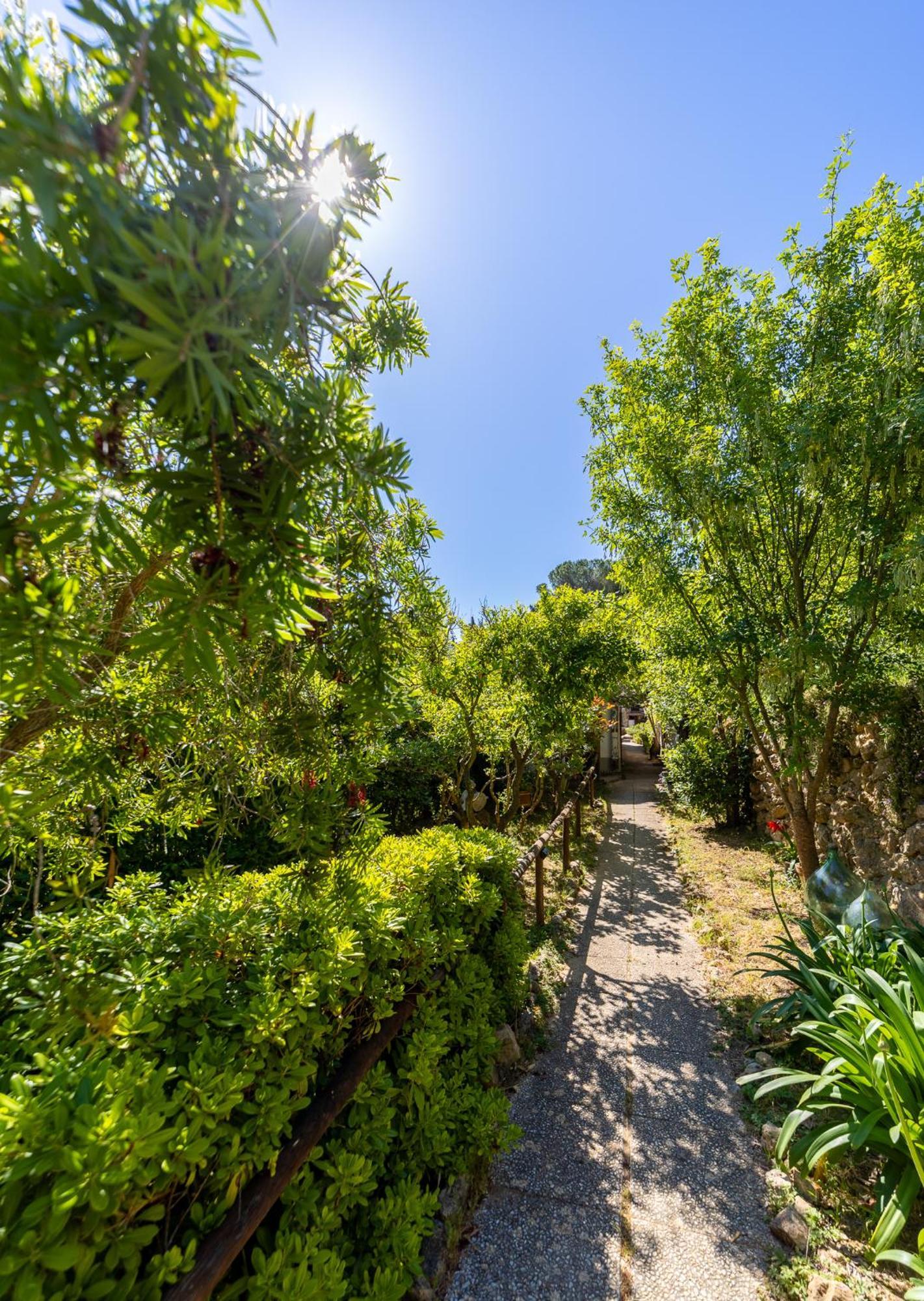 Cottage Pura Vigna Immerso Nella Natura Vicino Al Mare Porto Santo Stefano  Exterior photo