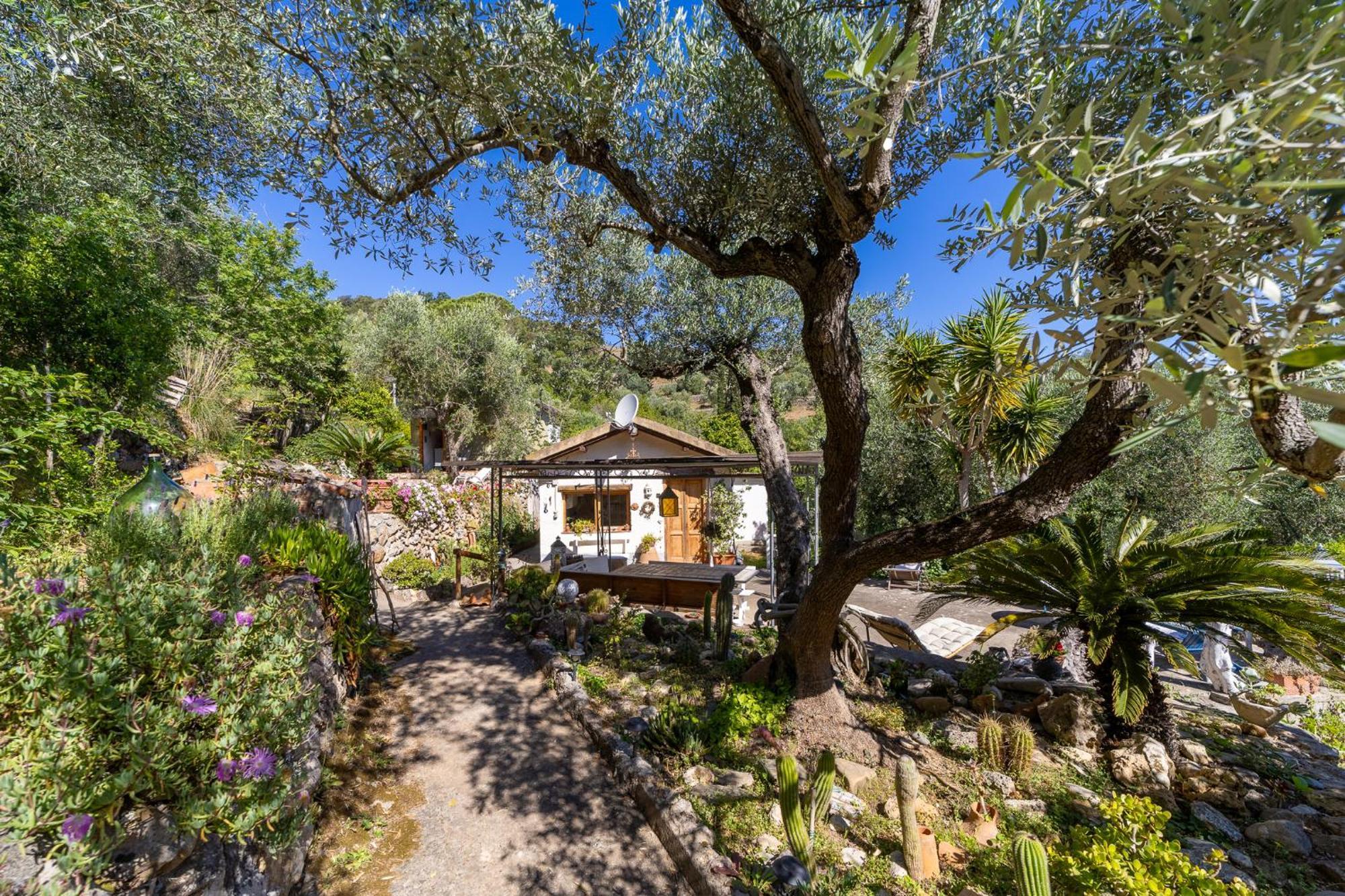 Cottage Pura Vigna Immerso Nella Natura Vicino Al Mare Porto Santo Stefano  Exterior photo